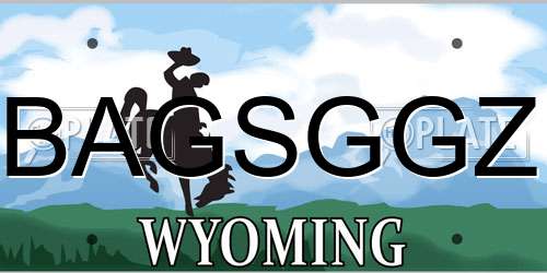 BAGSGGZ Wyoming License Plate