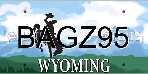 BAGZ95 Wyoming License Plate
