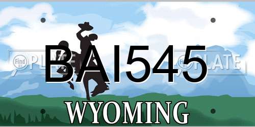 BAI545 Wyoming License Plate
