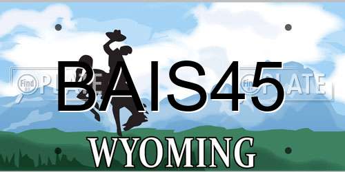BAIS45 Wyoming License Plate