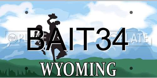 BAIT34 Wyoming License Plate