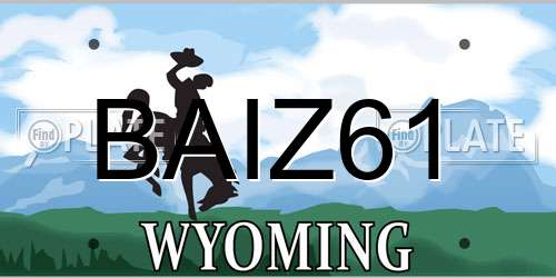 BAIZ61 Wyoming License Plate
