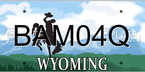 BAM04Q Wyoming License Plate