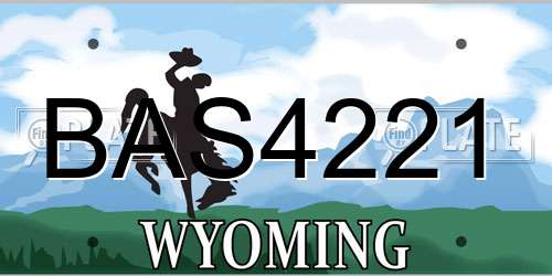 BAS4221 Wyoming License Plate