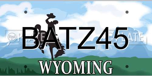 BATZ45 Wyoming License Plate
