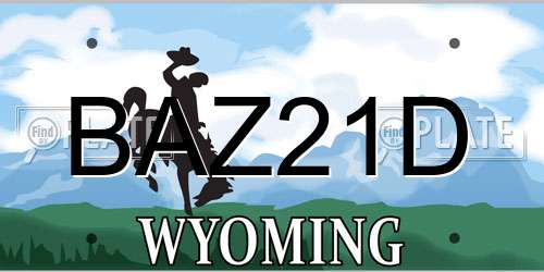BAZ21D Wyoming License Plate