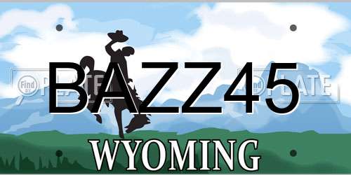 BAZZ45 Wyoming License Plate