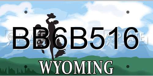 BB6B516 Wyoming License Plate