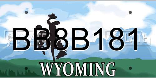 BB8B181 Wyoming License Plate