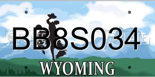 BB8S034 Wyoming License Plate