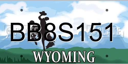 BB8S151 Wyoming License Plate