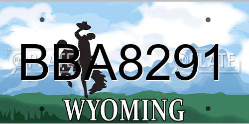 BBA8291 Wyoming License Plate