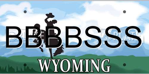 BBBBSSS Wyoming License Plate
