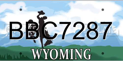 BBC7287 Wyoming License Plate