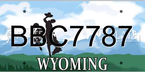 BBC7787 Wyoming License Plate