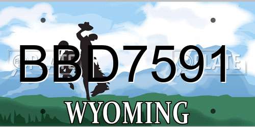 BBD7591 Wyoming License Plate