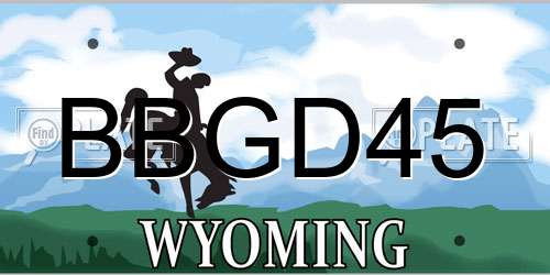 BBGD45 Wyoming License Plate