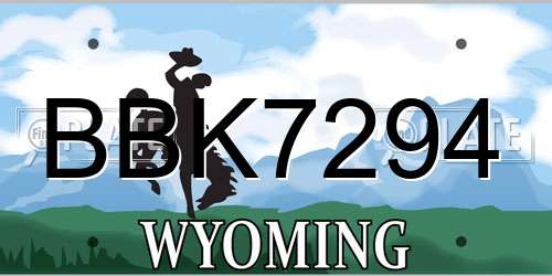 BBK7294 Wyoming License Plate