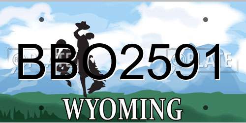 BBO2591 Wyoming License Plate