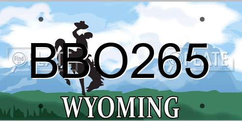 BBO265 Wyoming License Plate