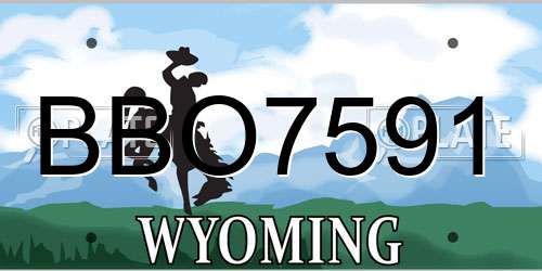 BBO7591 Wyoming License Plate