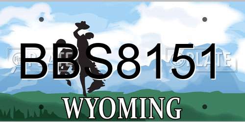 BBS8151 Wyoming License Plate