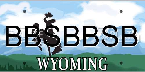 BBSBBSB Wyoming License Plate