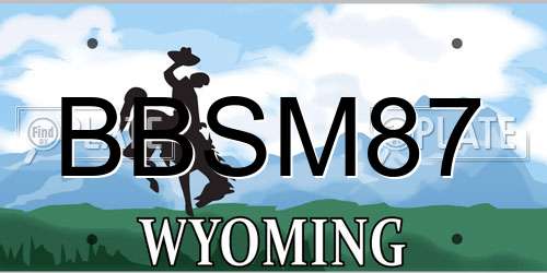 BBSM87 Wyoming License Plate