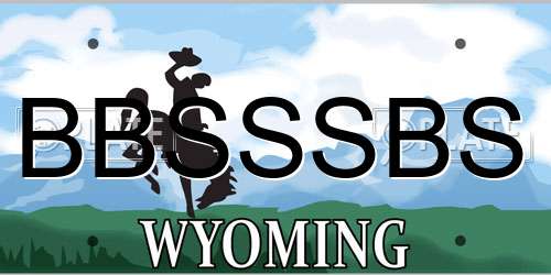 BBSSSBS Wyoming License Plate