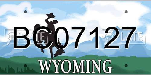 BC07127 Wyoming License Plate