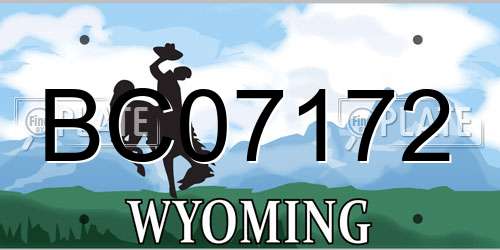 BC07172 Wyoming License Plate