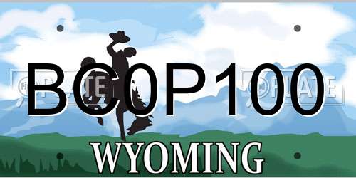 BC0P100 Wyoming License Plate