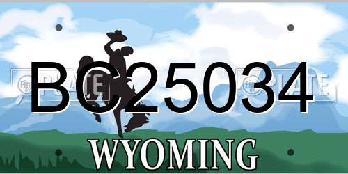 BC25034 Wyoming License Plate