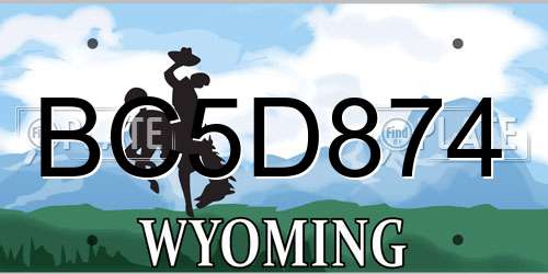 BC5D874 Wyoming License Plate