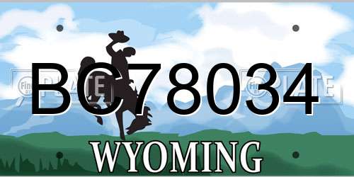BC78034 Wyoming License Plate