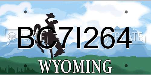 BC7I264 Wyoming License Plate