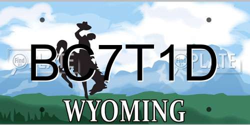 BC7T1D Wyoming License Plate