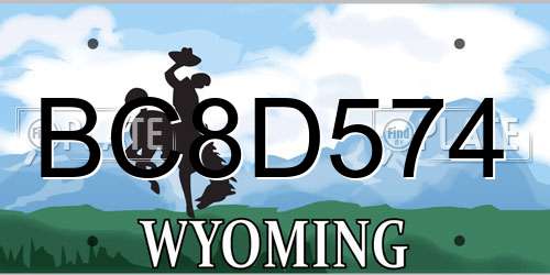 BC8D574 Wyoming License Plate