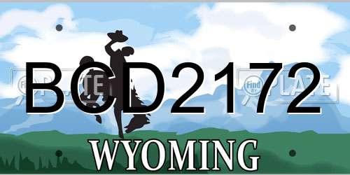 BCD2172 Wyoming License Plate