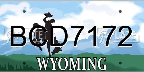 BCD7172 Wyoming License Plate