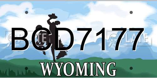 BCD7177 Wyoming License Plate