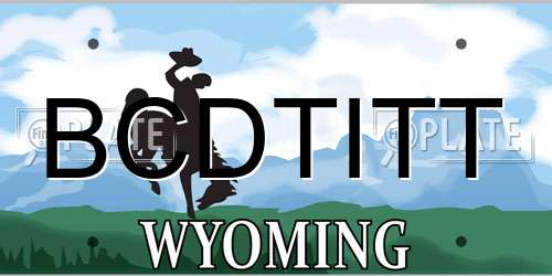 BCDTITT Wyoming License Plate