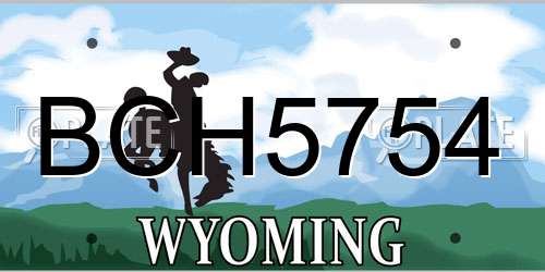 BCH5754 Wyoming License Plate