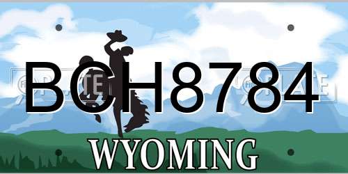 BCH8784 Wyoming License Plate