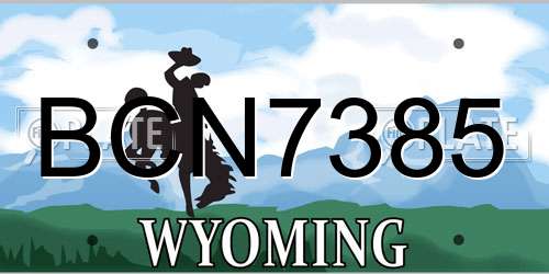 BCN7385 Wyoming License Plate