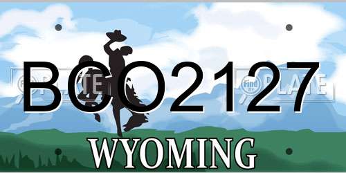 BCO2127 Wyoming License Plate
