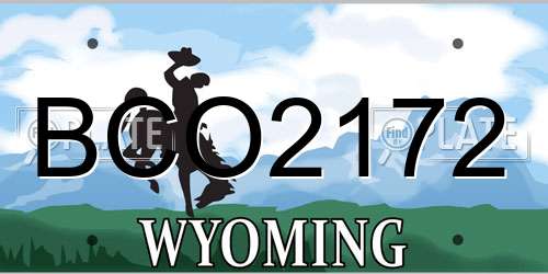 BCO2172 Wyoming License Plate