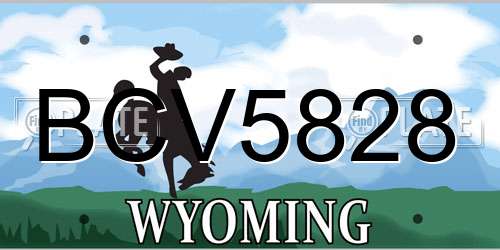 BCV5828 Wyoming License Plate