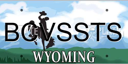 BCVSSTS Wyoming License Plate