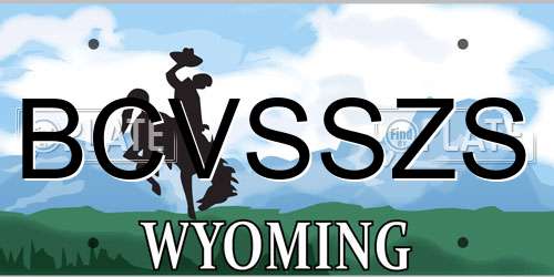 BCVSSZS Wyoming License Plate